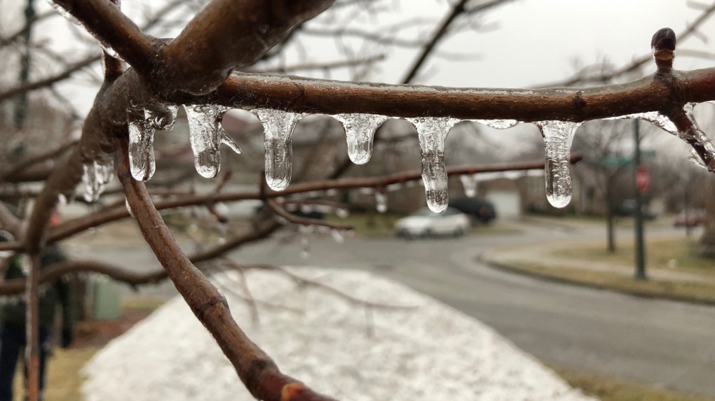 Freezing rain hits Windsor, Ont., on Wednesday, Feb.6, 2019. (Melanie Borrelli / CTV Windsor)