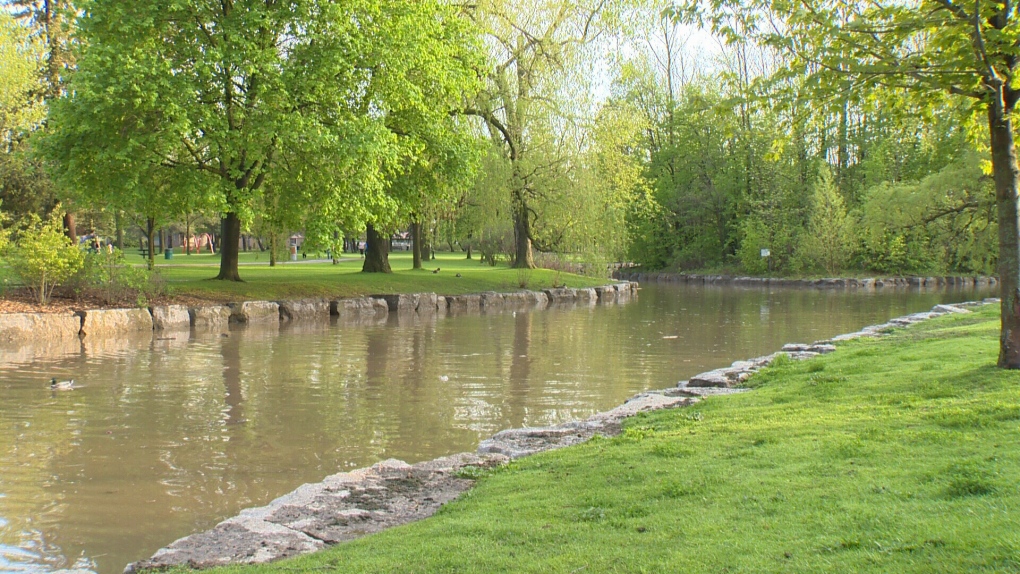 Part of Victoria Park Lake is seen in this photo taken on May 25,  2019 (CTV Kitchener)