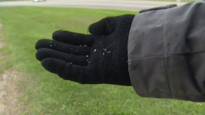 Waterloo Region residents saw the first snowflakes of the season fall on Tuesday. 