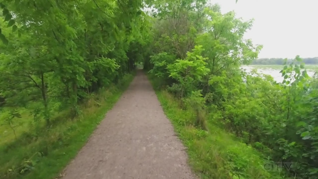 a-walk-through-the-mill-pond-trail