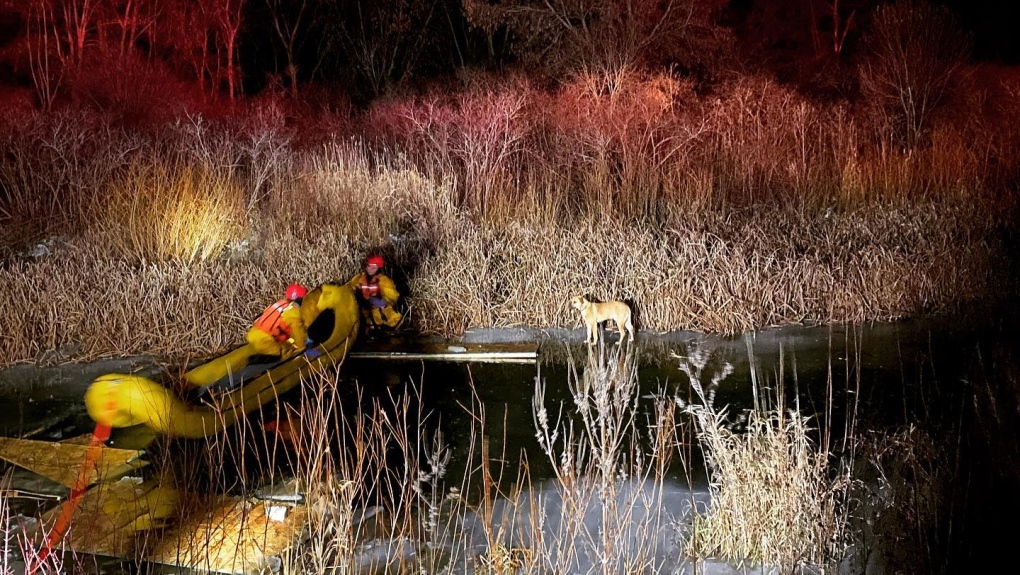 Six Nations Fire and Emergency Services rescue a young dog stranded on ice. (SNFS/Facebook)
