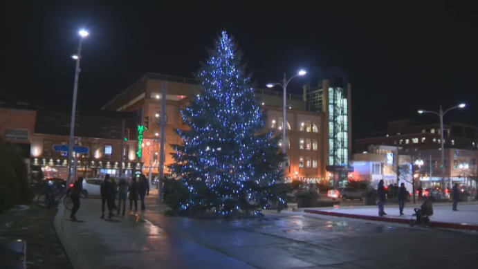 The Uptown Waterloo Christmas tree on Dec. 2, 2022.