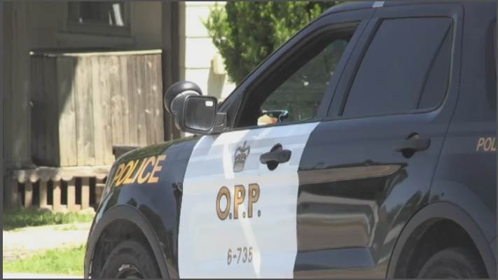 OPP on scene in Simcoe, Ont. (Tyler Kelaher/CTV Kitchener) (June 18, 2022)
