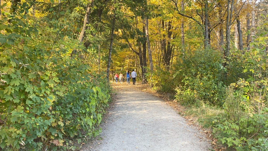 People enjoy a walk through the fall leaves in this undated photo. (Natalie van Rooy/CTV News Ottawa)