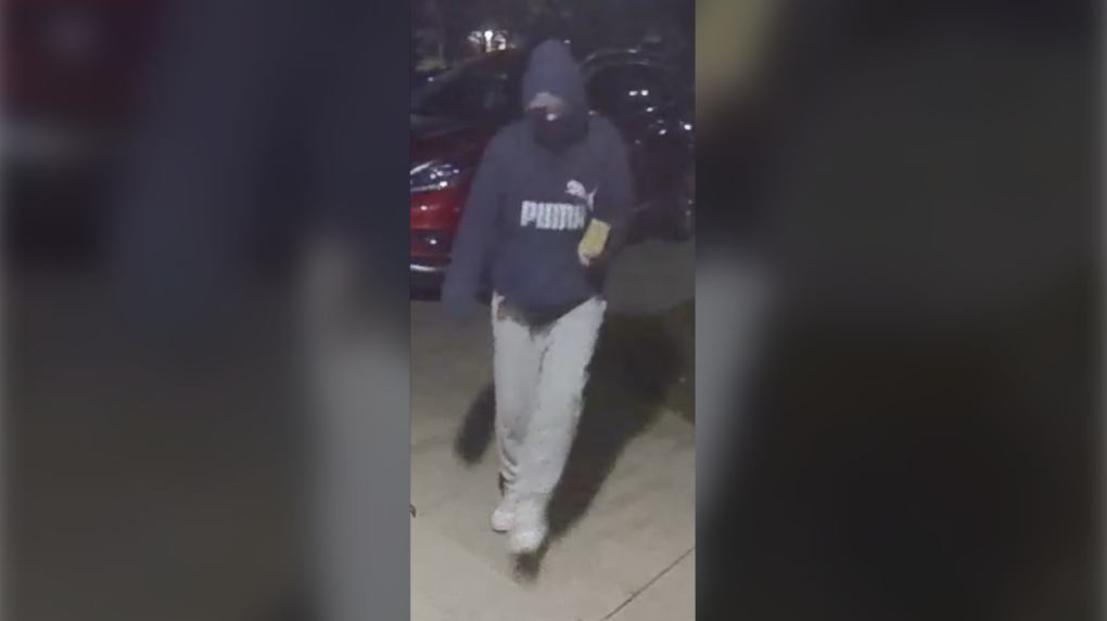 Suspect Images Released After Theft Spree In Kitchener Neighbourhood ...