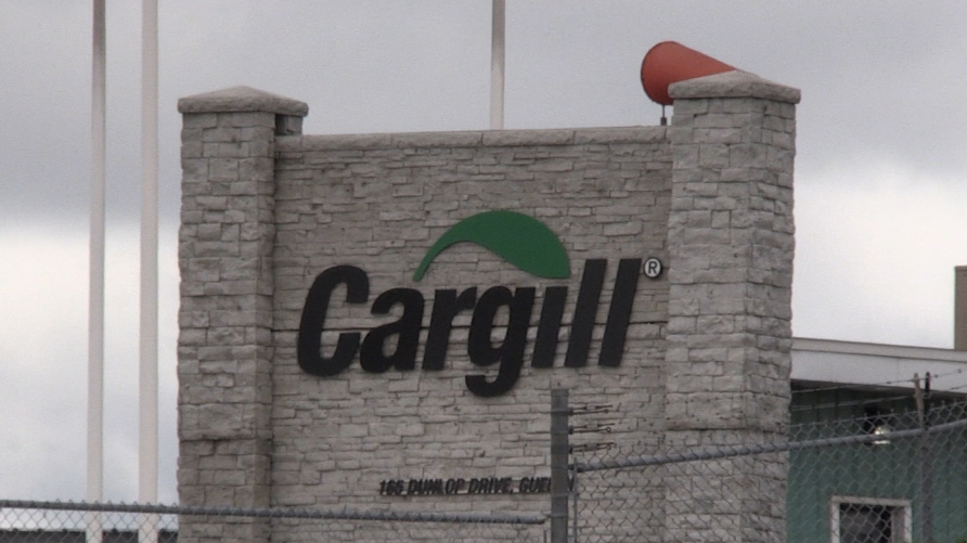 Cargill workers to weigh in tentative deal