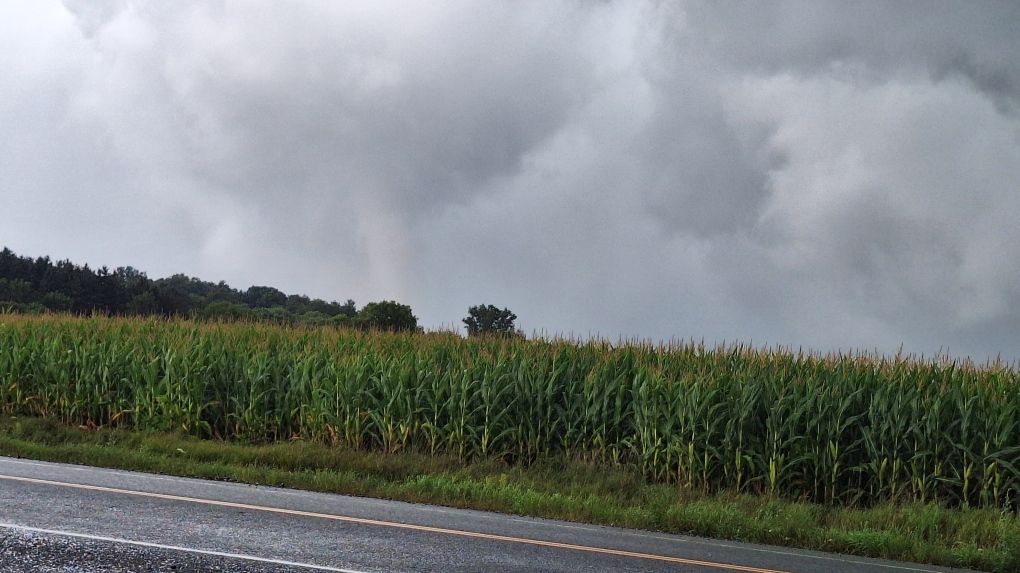 Tornado warning - Figure 1