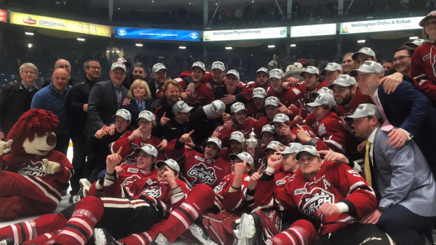 guelph storm sleeman ohl championship memorial cup