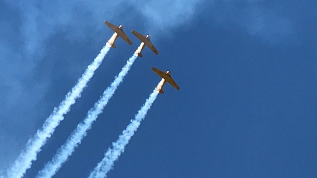 Three Harvard Trainers