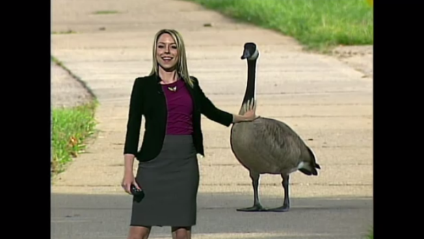 Lyndsay and a goose