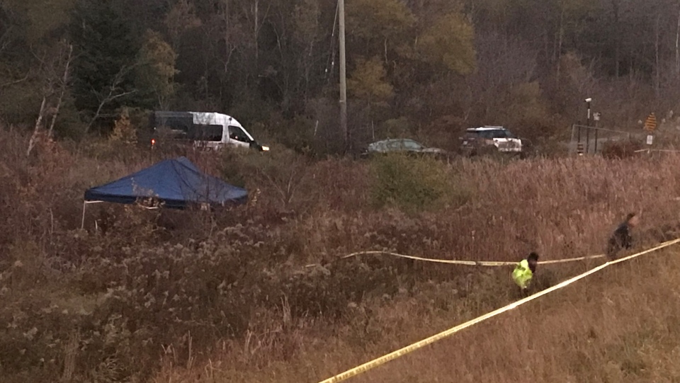 hofstetter park kitchener police dead body