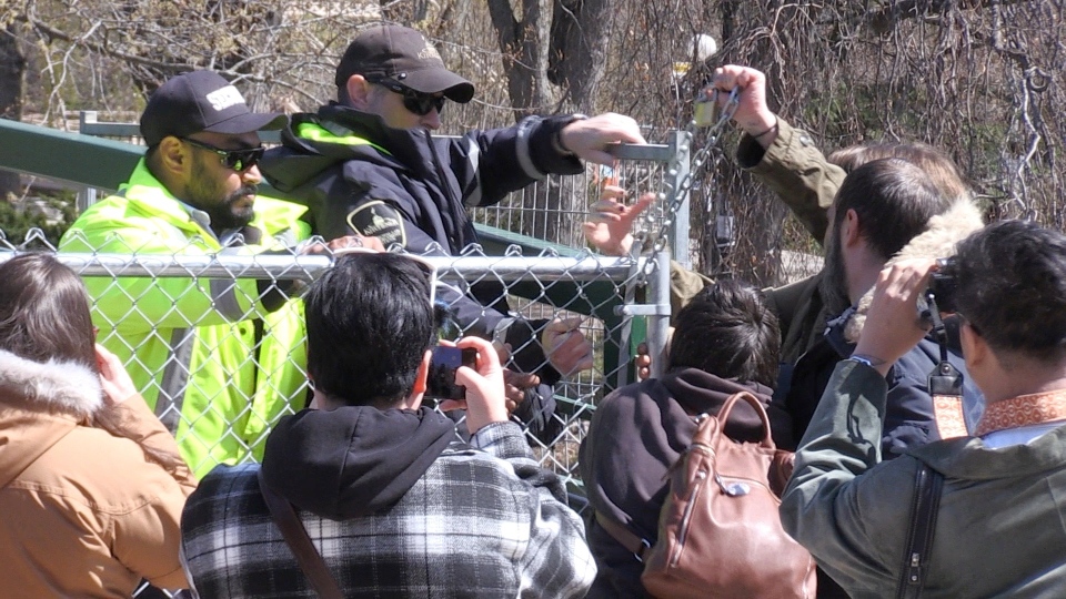 Roos island protest